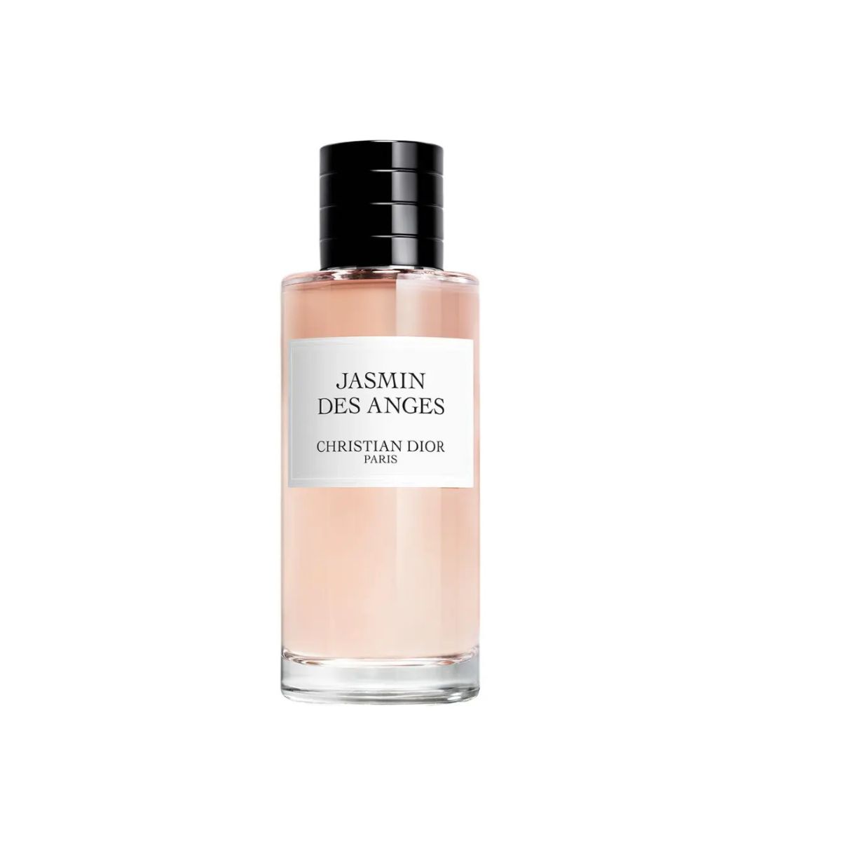 Jasmin Des Anges